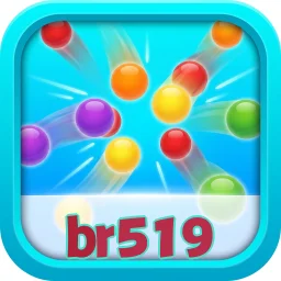 br519